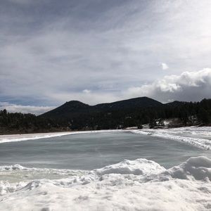 Meet your Posher, Bailey